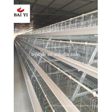 Chicken Cage / Chicken Farm / Chicken Cage for Sale for All World